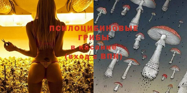 круглые Рославль